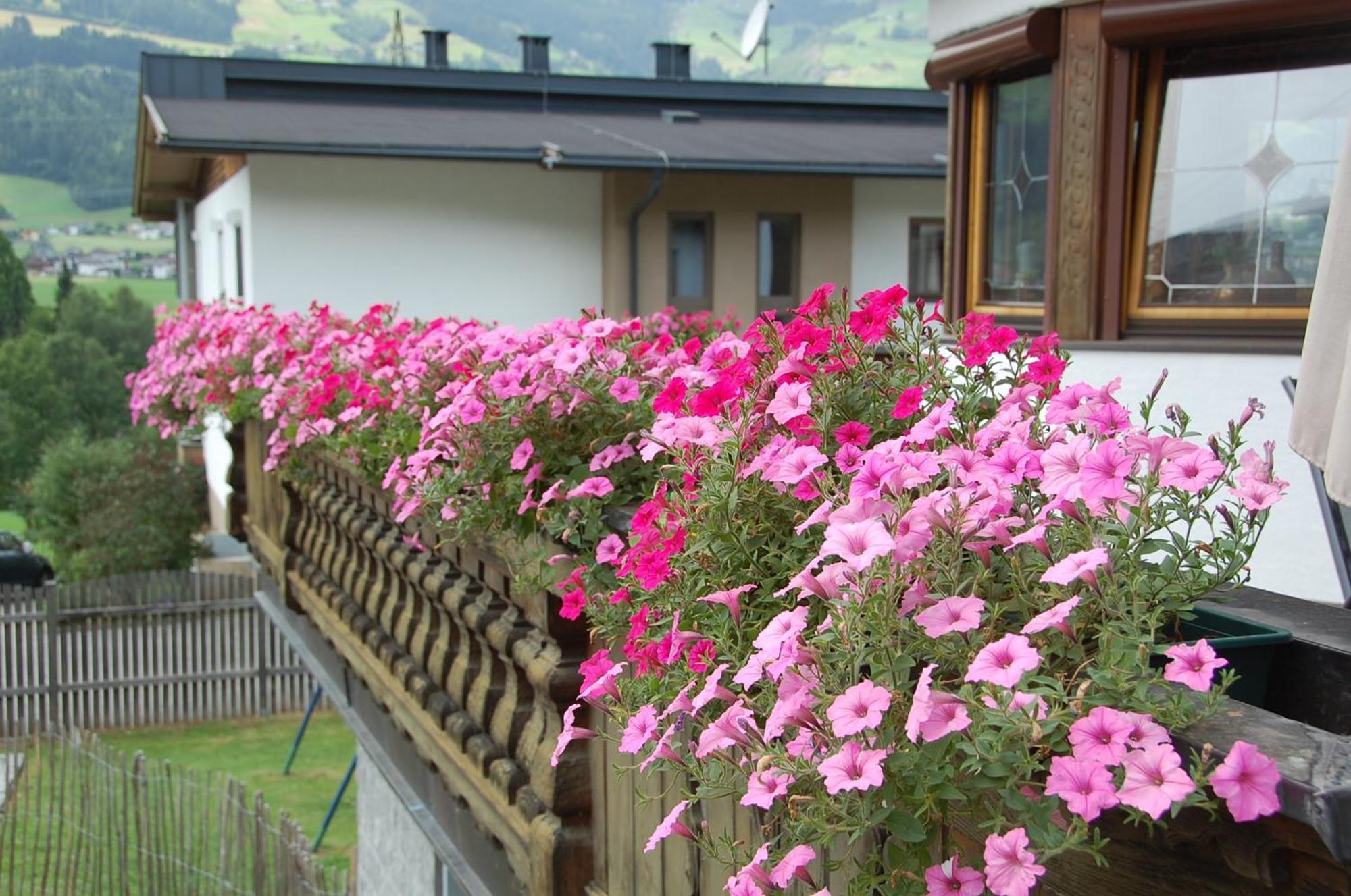 Haus Hart Im Zillertal 6 Personen Villa Luaran gambar